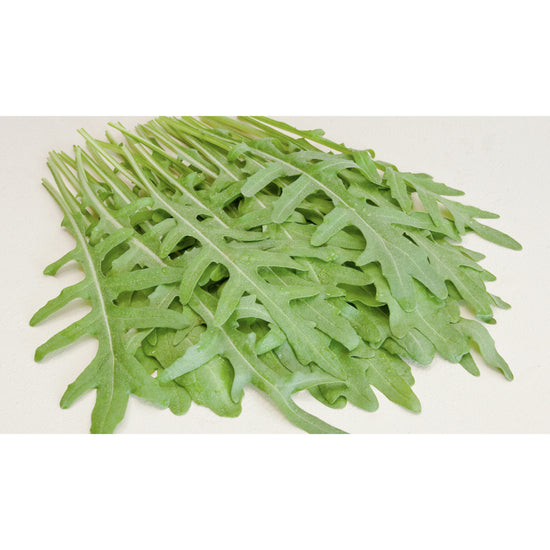 SALAD GREEN; Wild Rocket